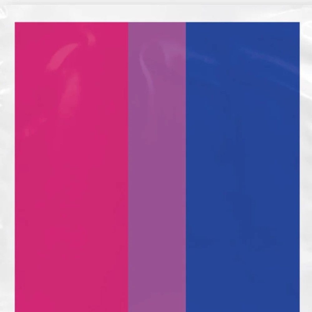 Bi Pride mailers (Twenty Pack)
